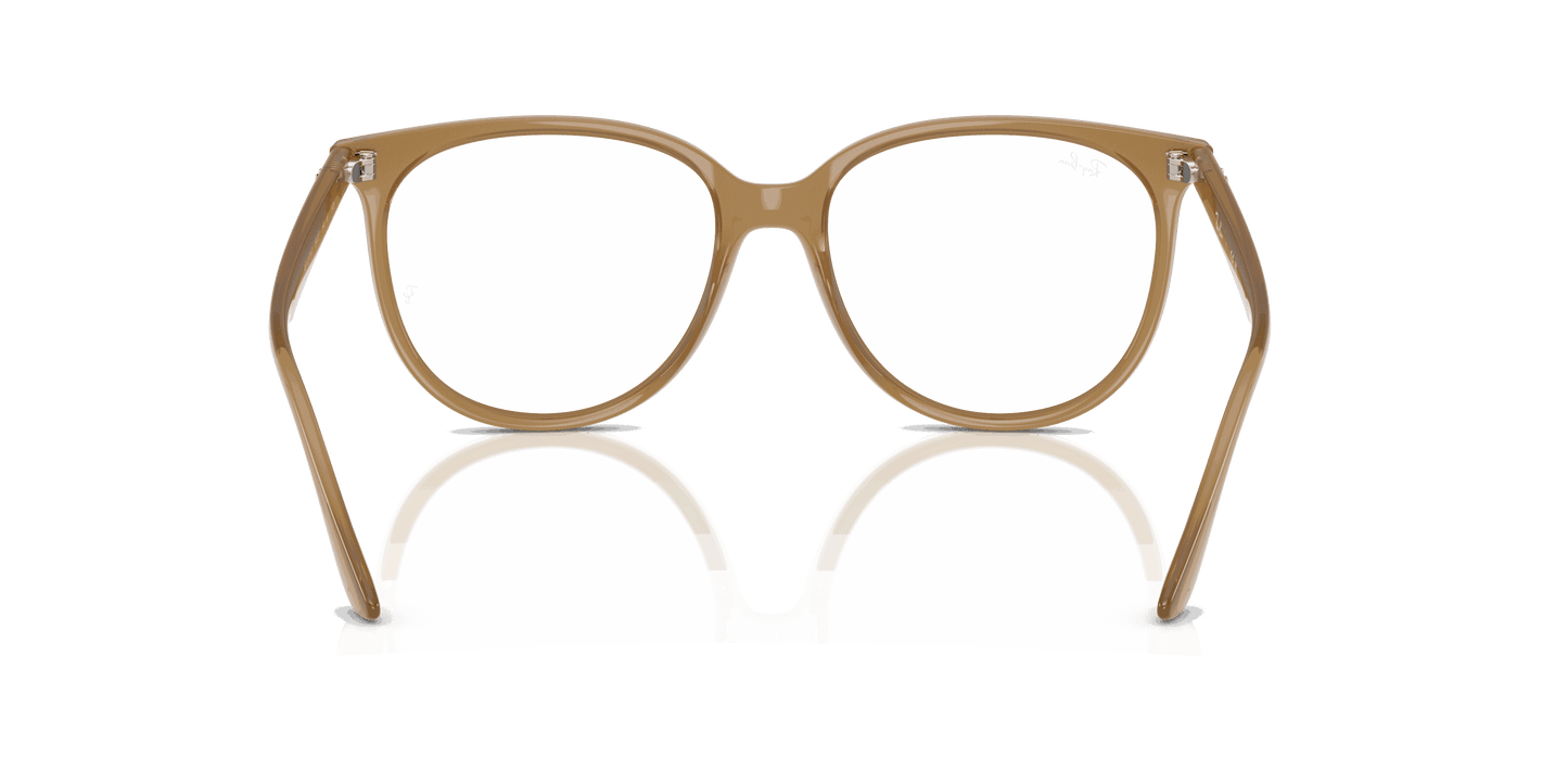 [Clear Lenses, Polished Opal Light Brown Frame]
