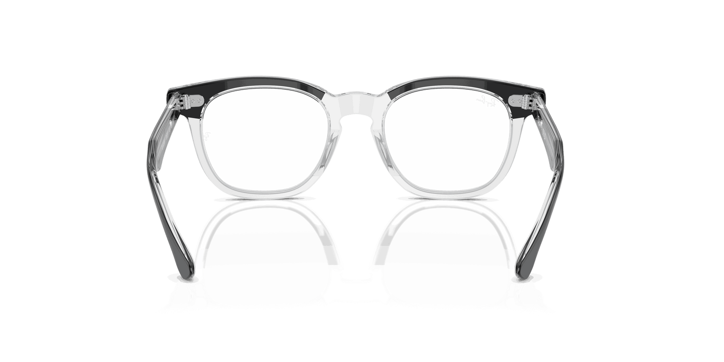 [Clear Lenses, Polished Black On Transparent Frame]