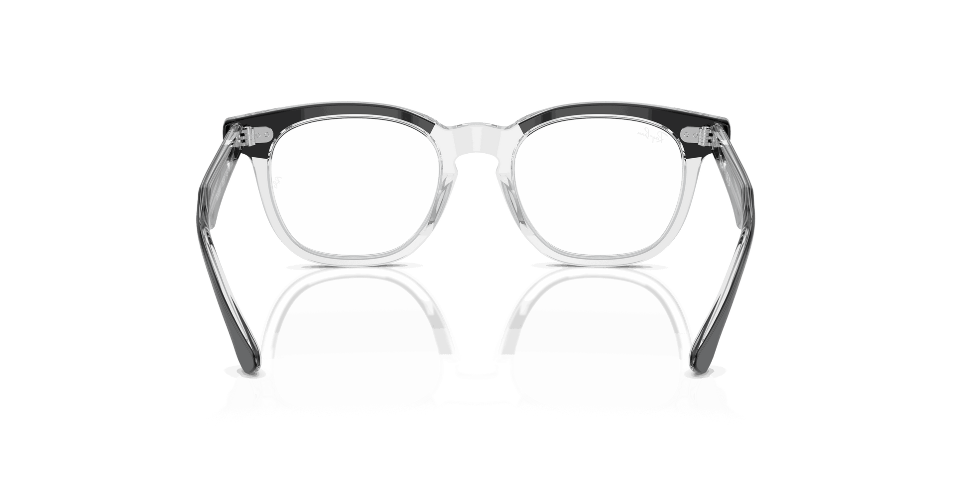 [Clear Lenses, Polished Black On Transparent Frame]
