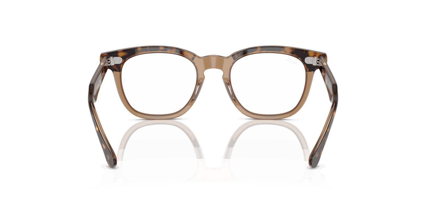 [Clear Lenses, Polished Havana On Transparent Frame]