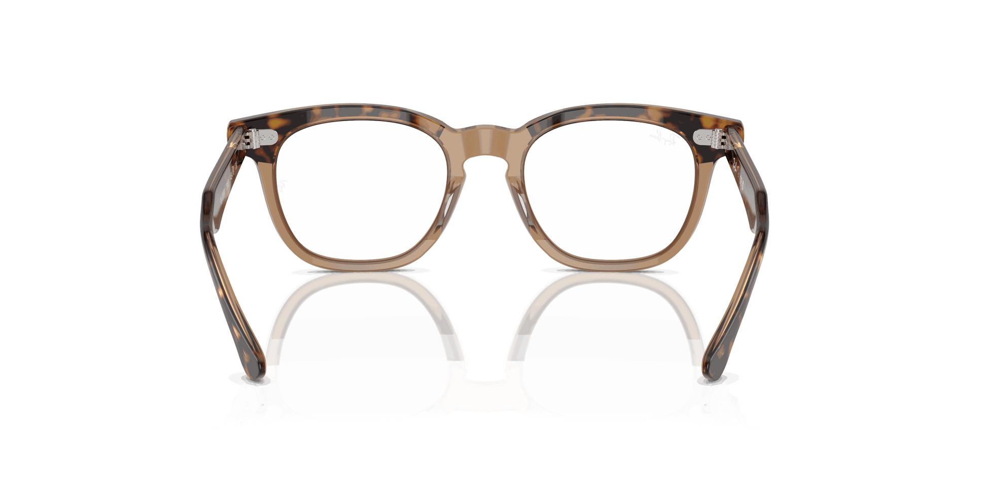 [Clear Lenses, Polished Havana On Transparent Frame]