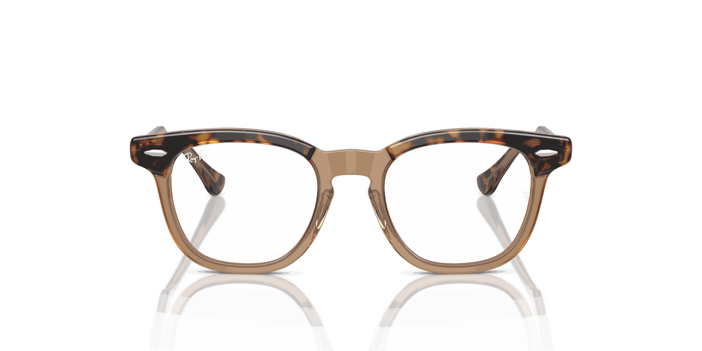 [Clear Lenses, Polished Havana On Transparent Frame]