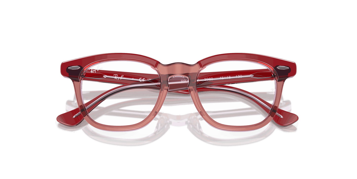 [Clear Lenses, Polished Top Red & Orange & Light Purple Frame]