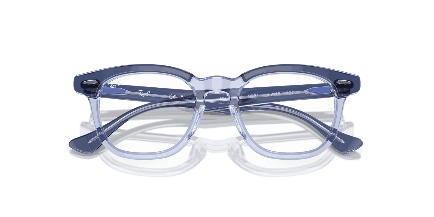 [Clear Lenses, Polished Top Violet On Transparent Violet Frame]