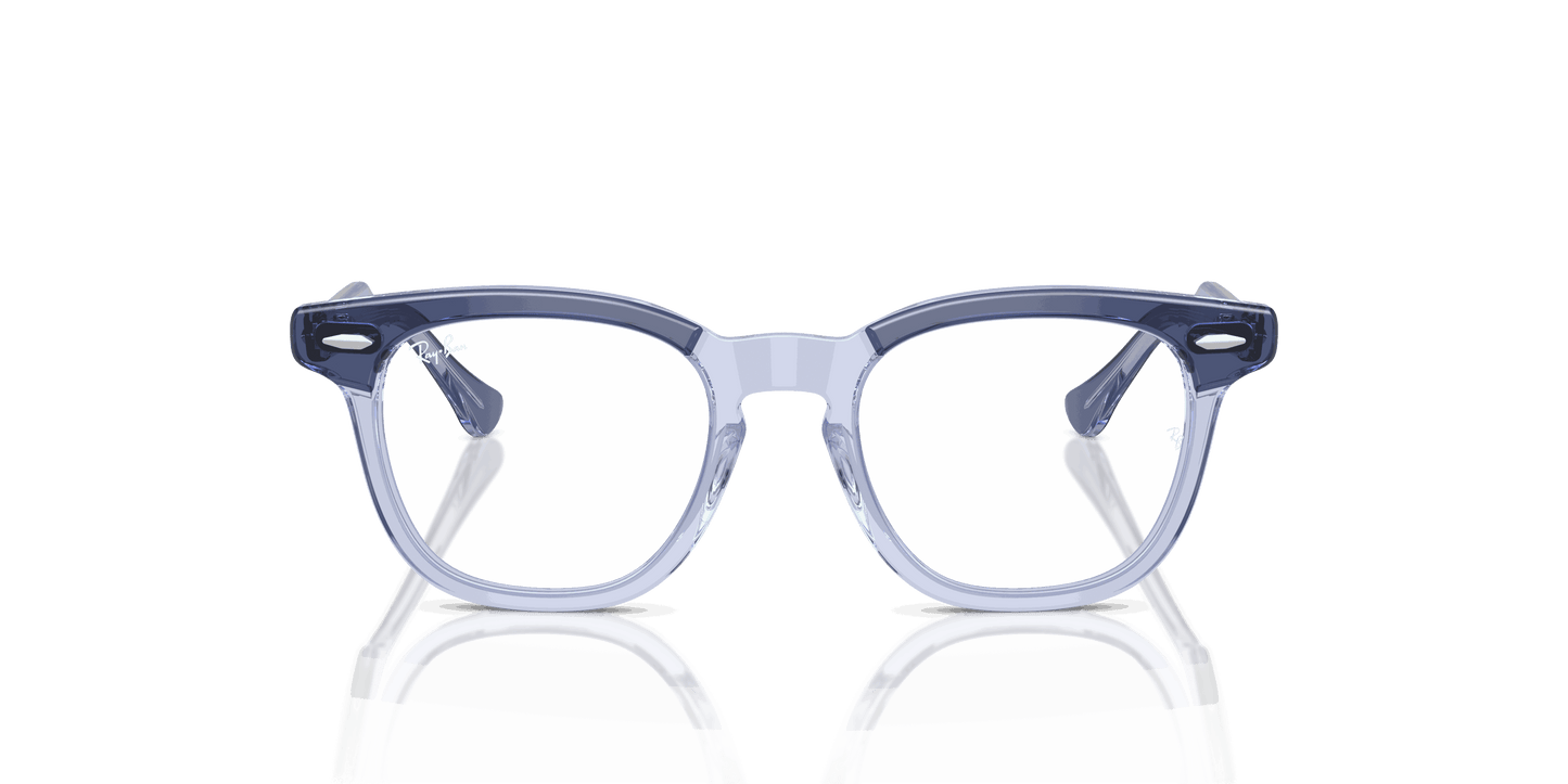 [Clear Lenses, Polished Top Violet On Transparent Violet Frame]