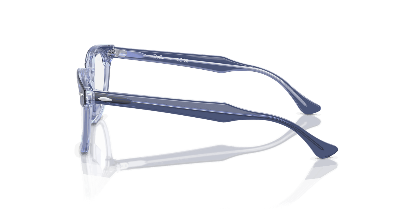 [Clear Lenses, Polished Top Violet On Transparent Violet Frame]