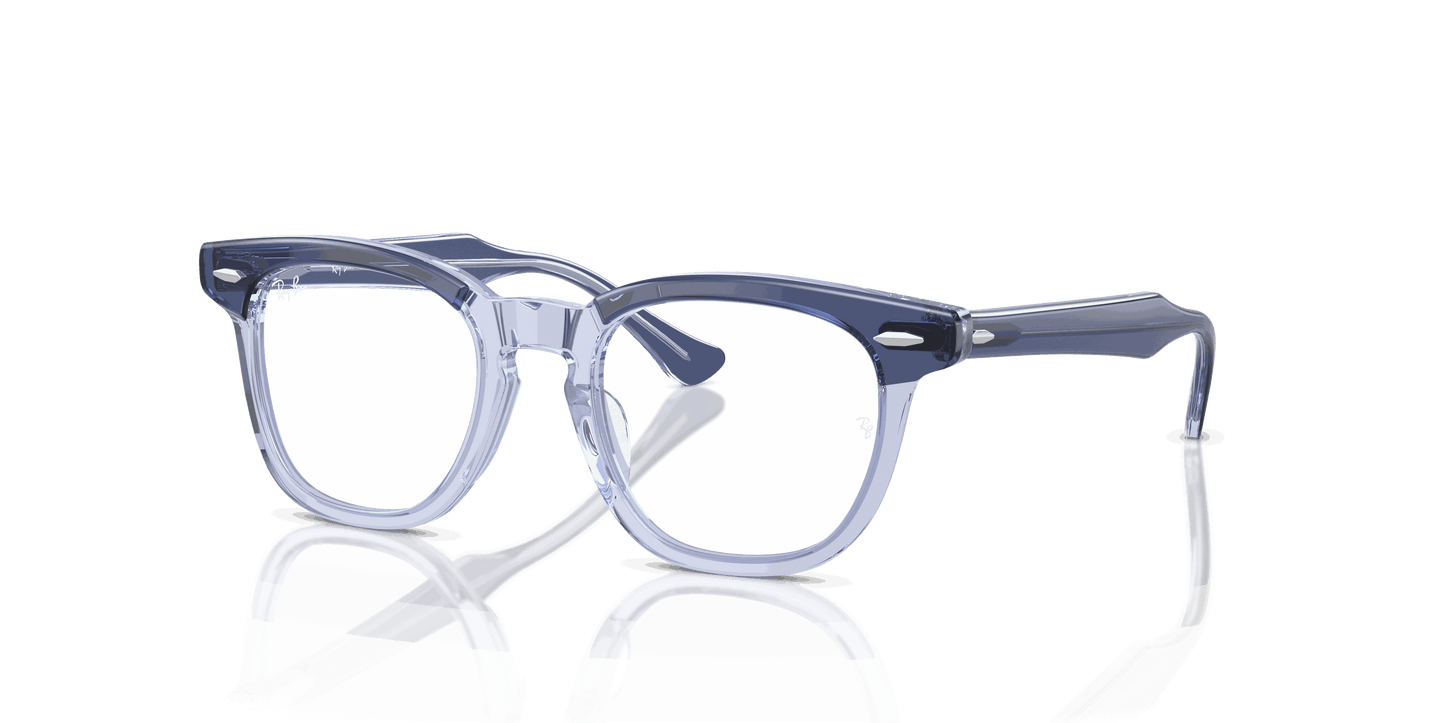 [Clear Lenses, Polished Top Violet On Transparent Violet Frame]