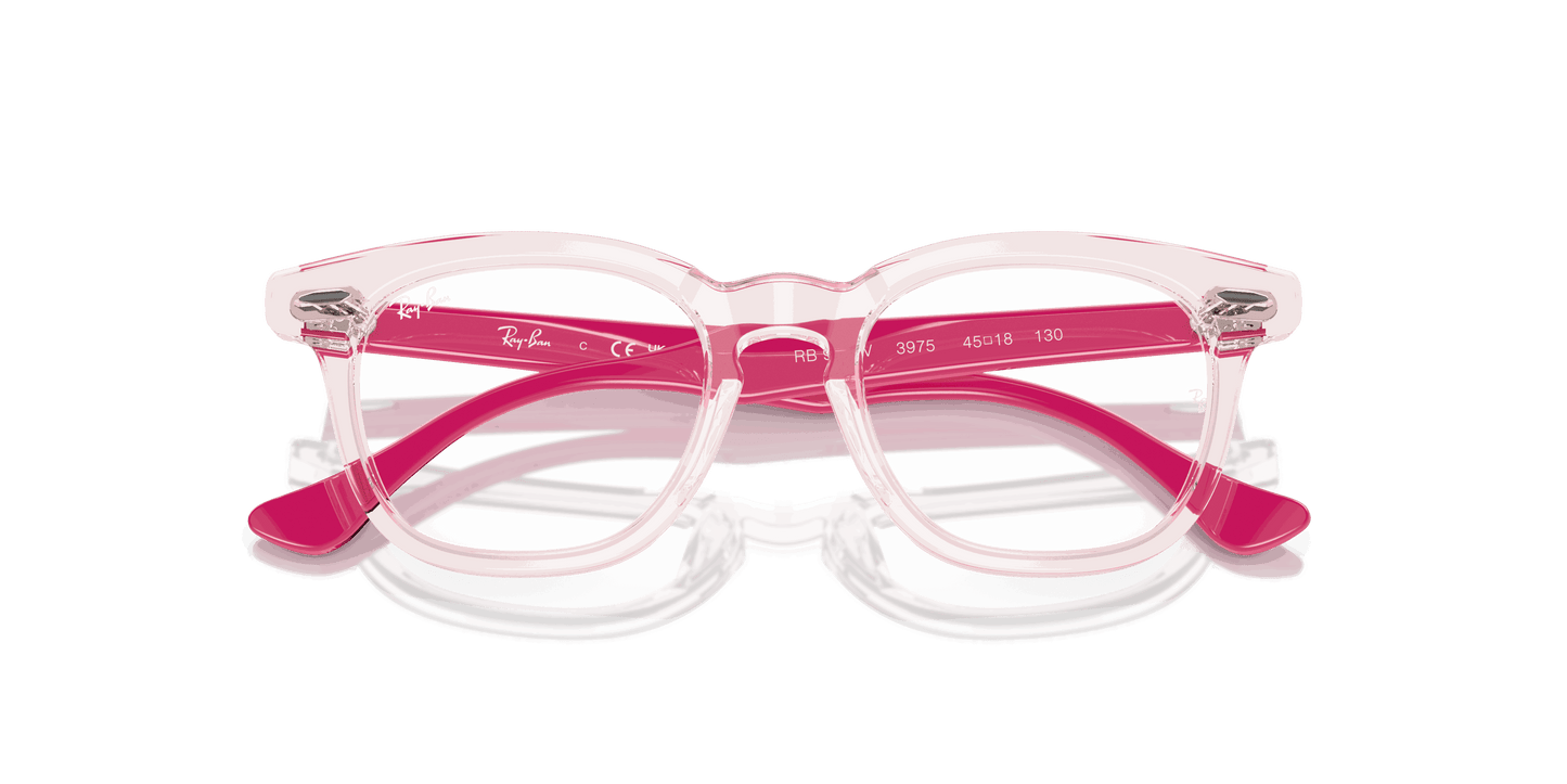 [Clear Lenses, Polished Transparent Pink Frame]