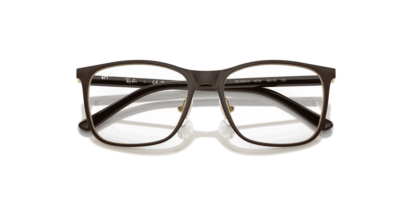 [Clear Lenses, Matte Brown On Arista Frame]