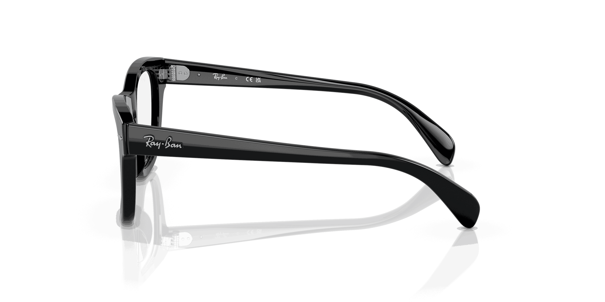 [Clear Lenses, Polished Black Frame]