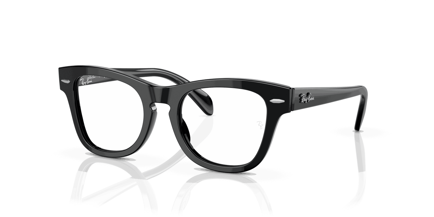 [Clear Lenses, Polished Black Frame]