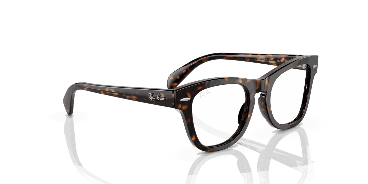 [Clear Lenses, Polished Havana Frame]