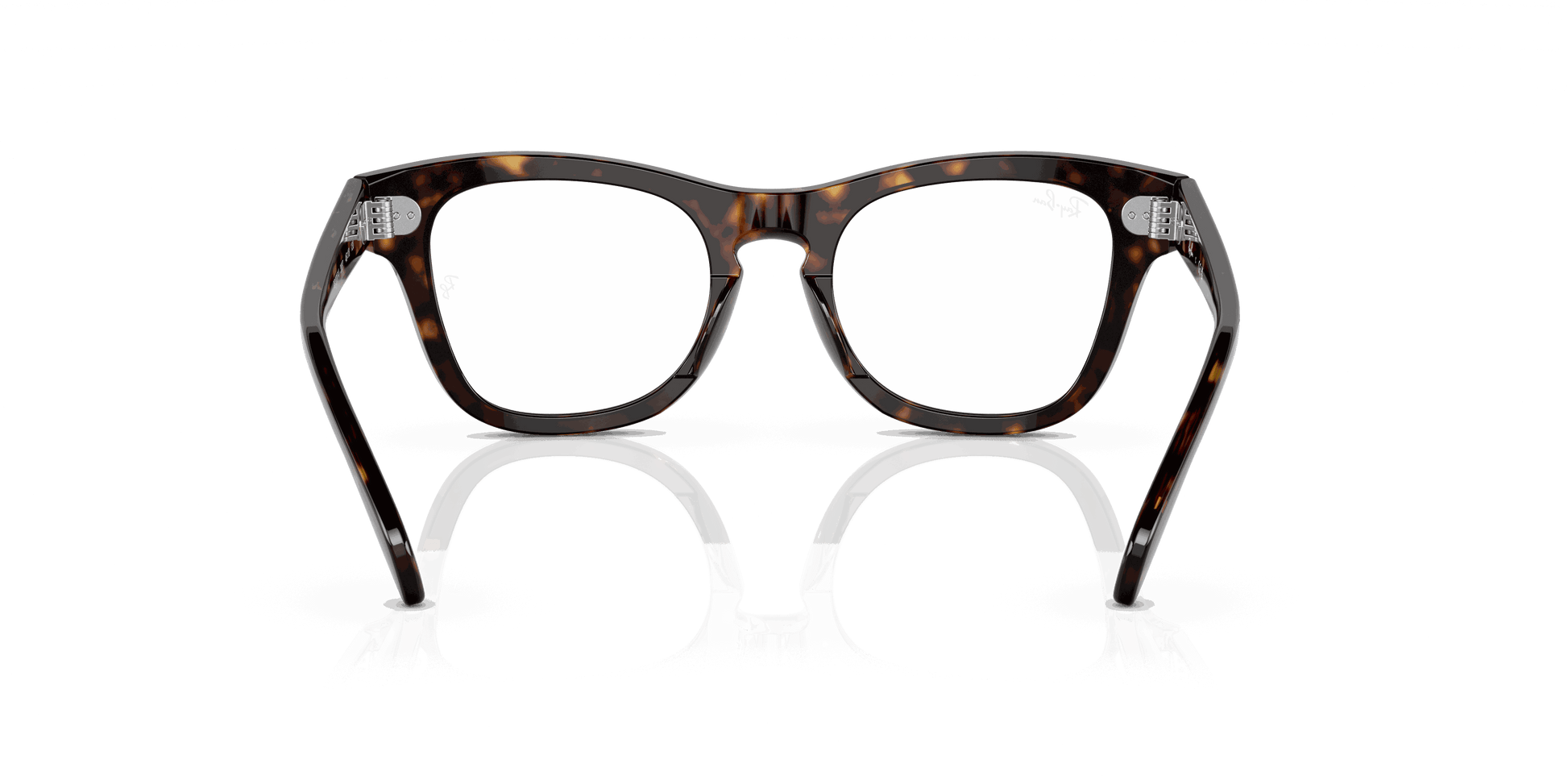 [Clear Lenses, Polished Havana Frame]