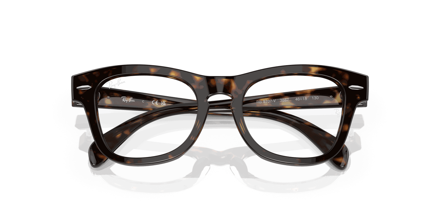 [Clear Lenses, Polished Havana Frame]