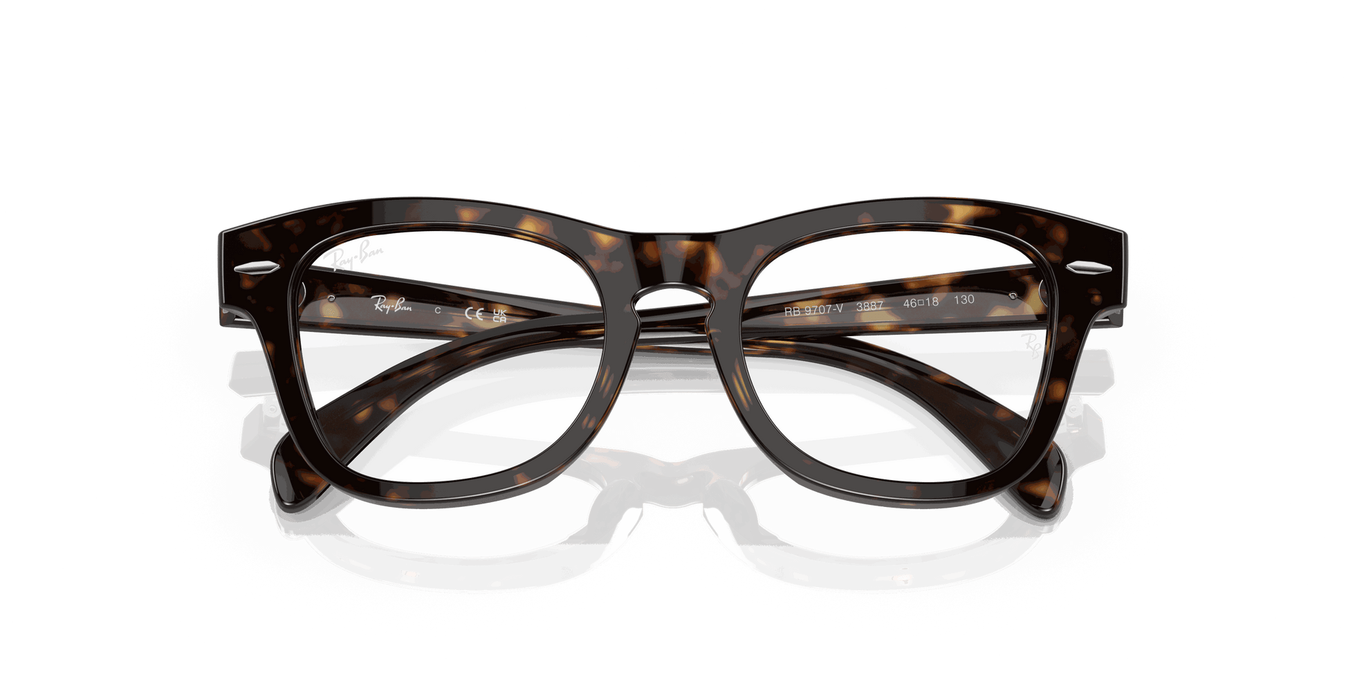 [Clear Lenses, Polished Havana Frame]