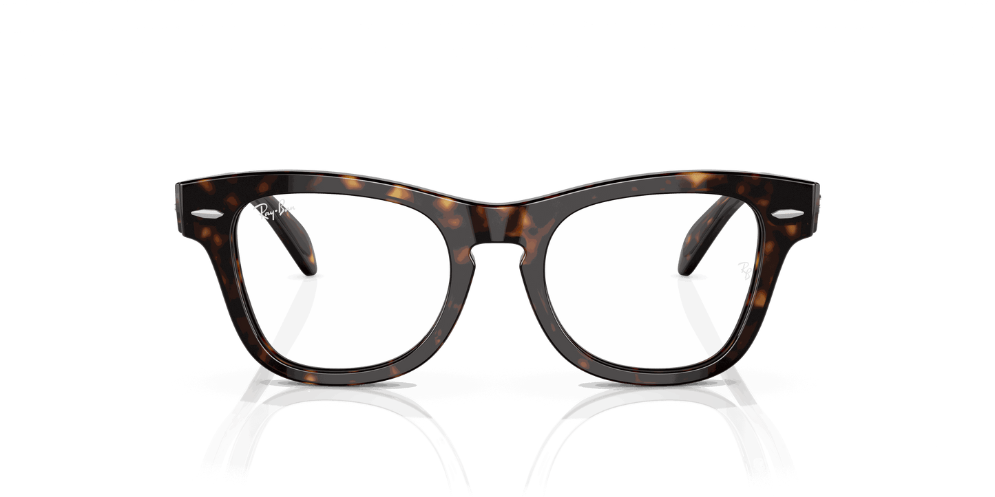 [Clear Lenses, Polished Havana Frame]