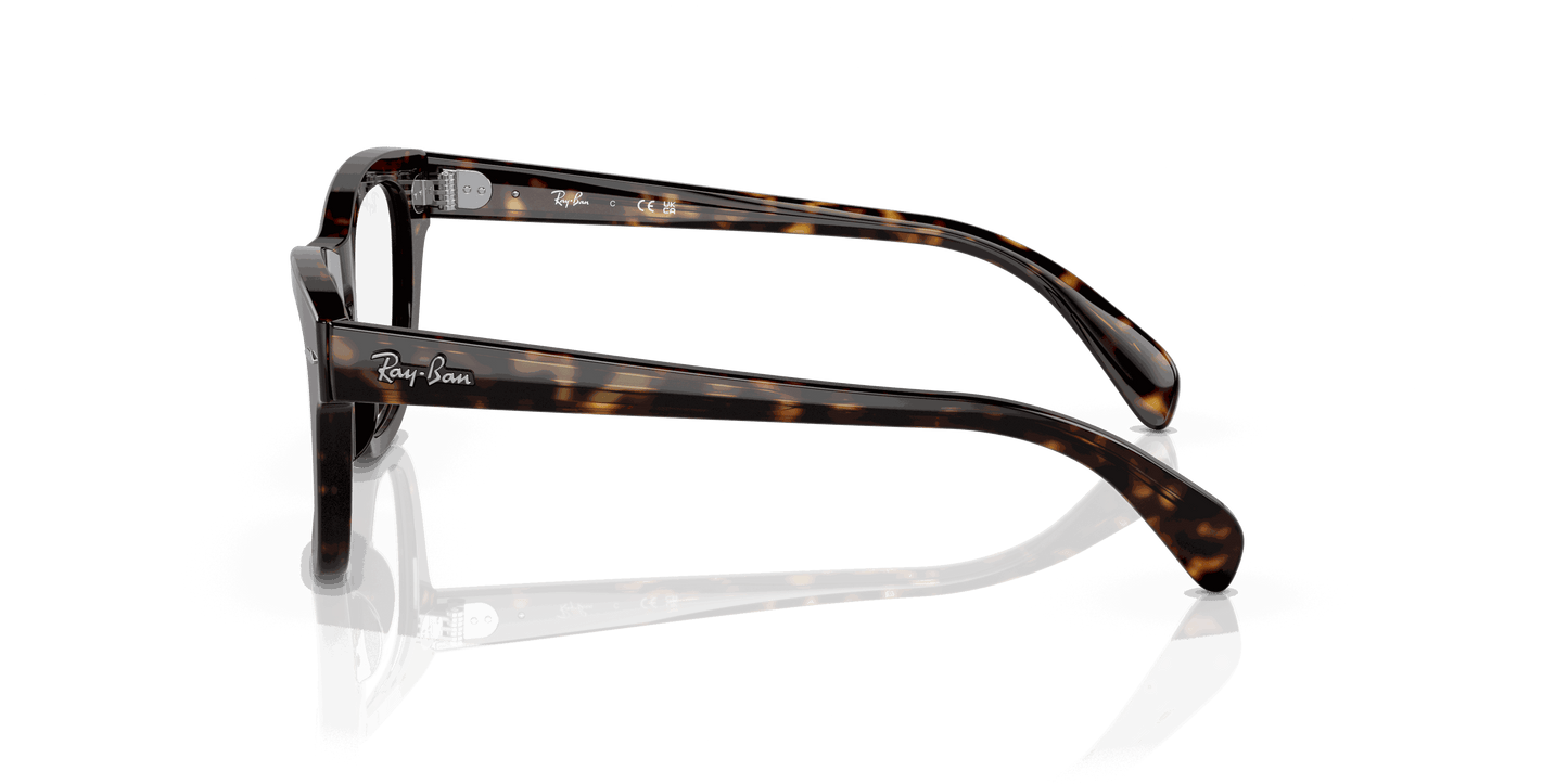 [Clear Lenses, Polished Havana Frame]
