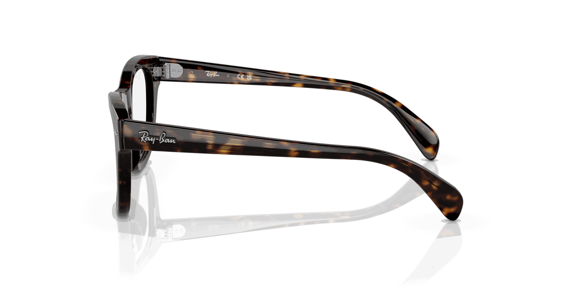 [Clear Lenses, Polished Havana Frame]