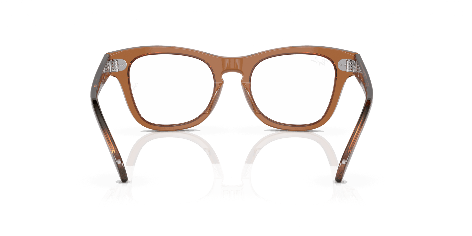 [Clear Lenses, Polished Transparent Brown Frame]