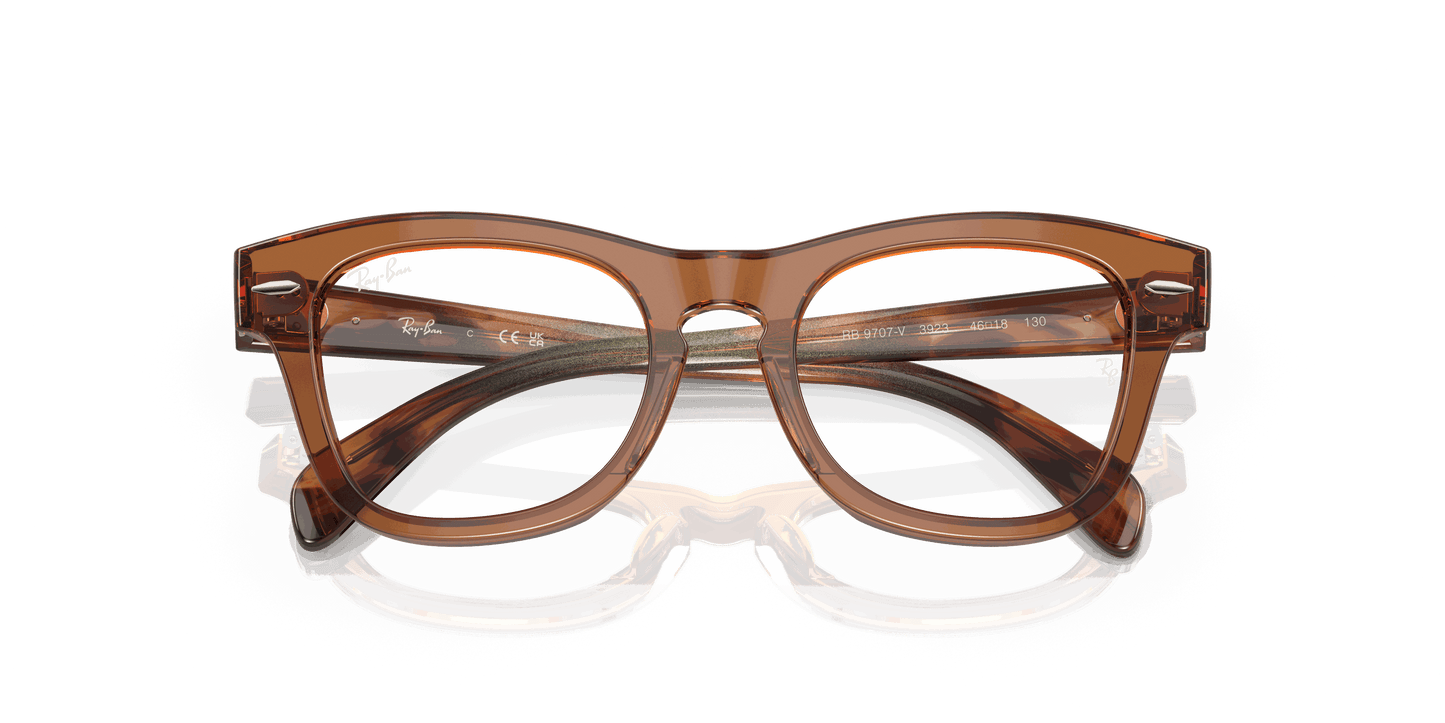 [Clear Lenses, Polished Transparent Brown Frame]