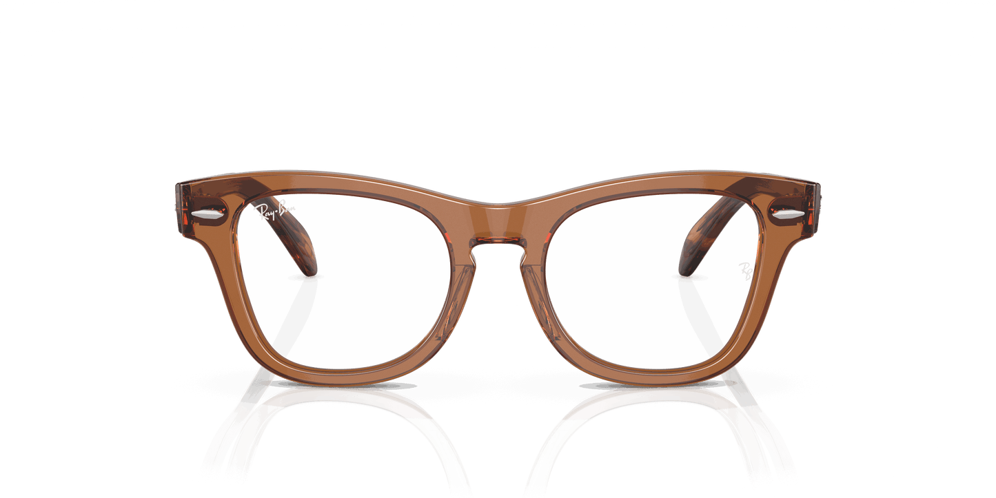 [Clear Lenses, Polished Transparent Brown Frame]