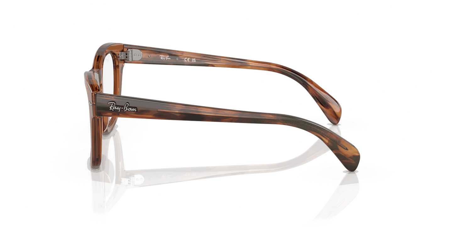 [Clear Lenses, Polished Transparent Brown Frame]