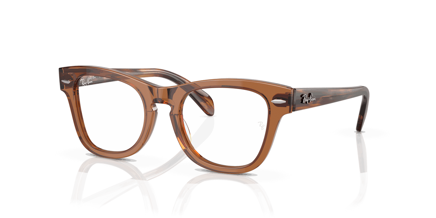 [Clear Lenses, Polished Transparent Brown Frame]