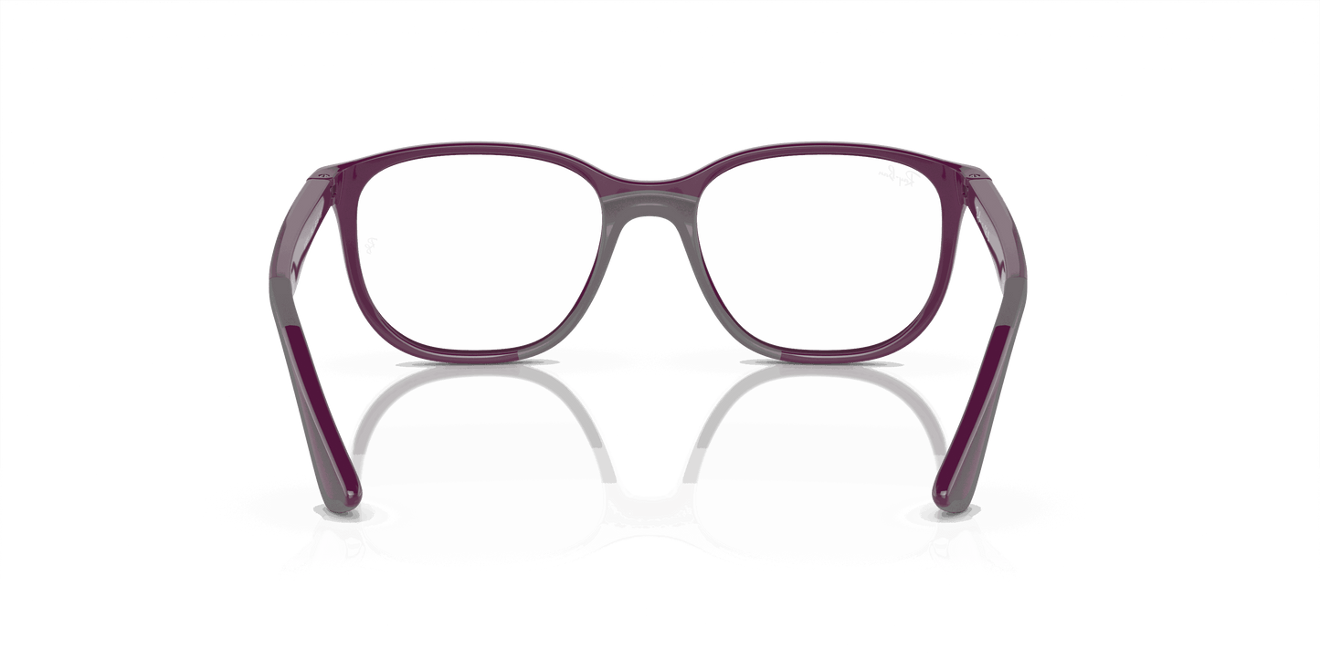 [Demo Lens Lenses, Polished Violet On Grey Frame]