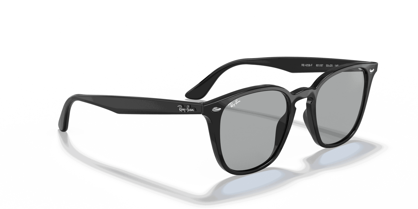 [Dark Grey Classic Lenses, Polished Black Frame]