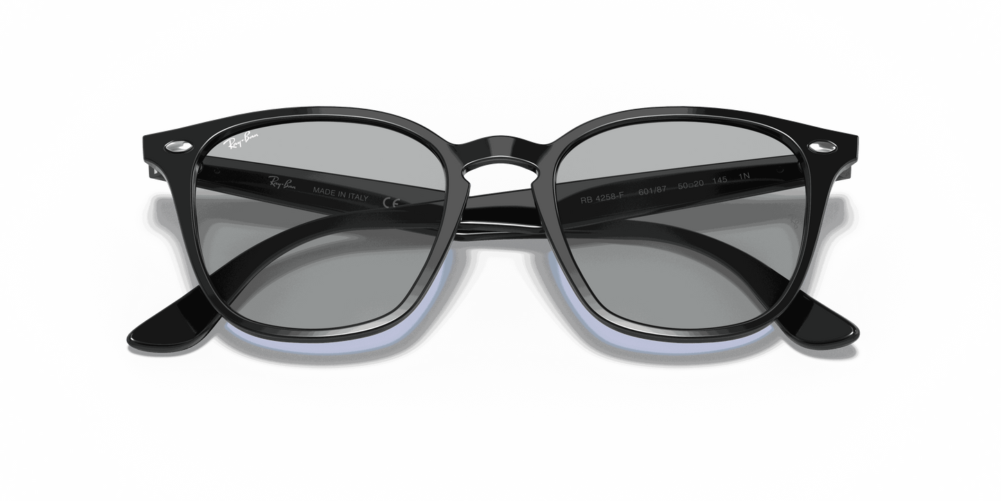 [Dark Grey Classic Lenses, Polished Black Frame]