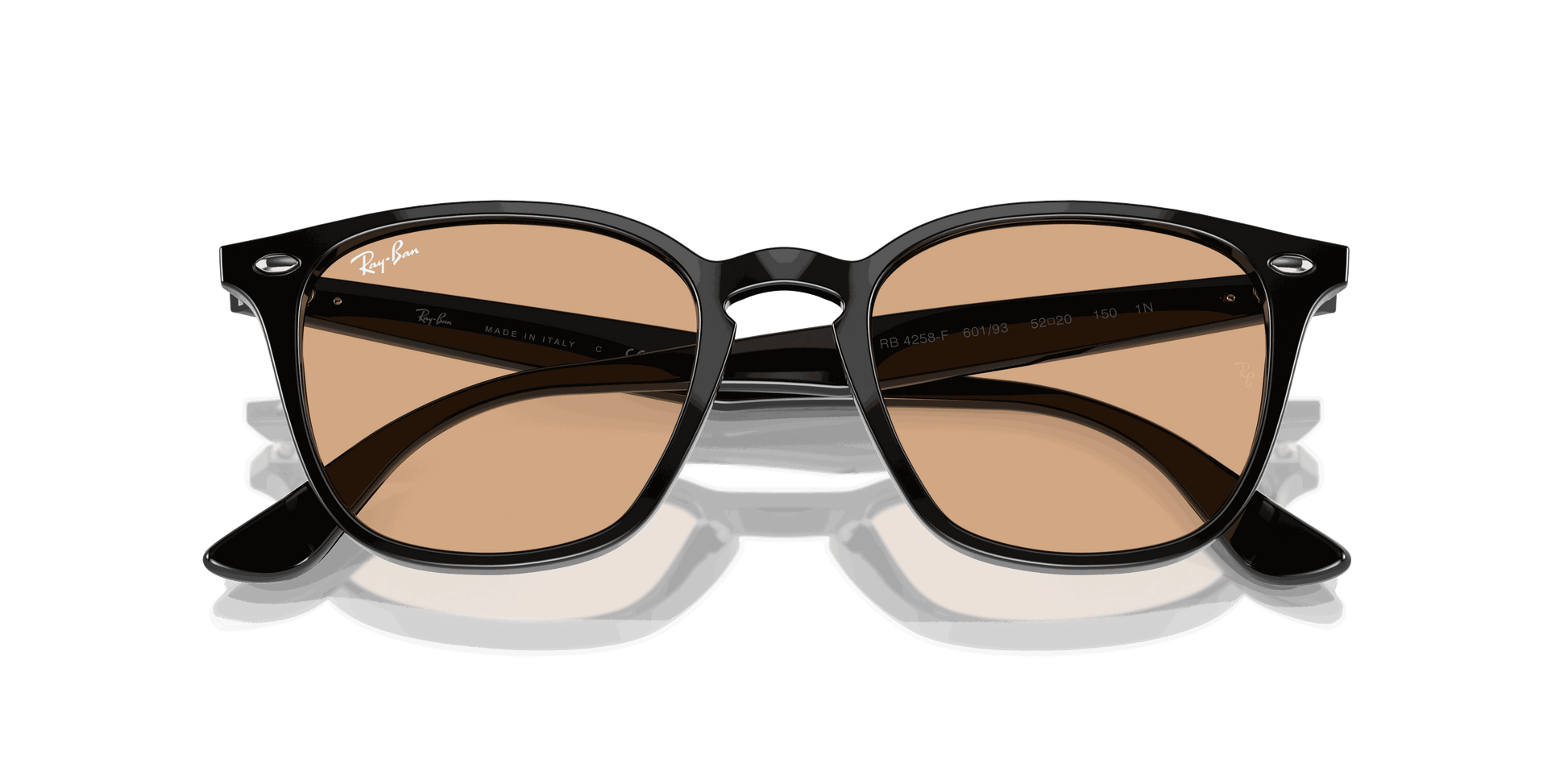 [Brown Lenses, Polished Black Frame]