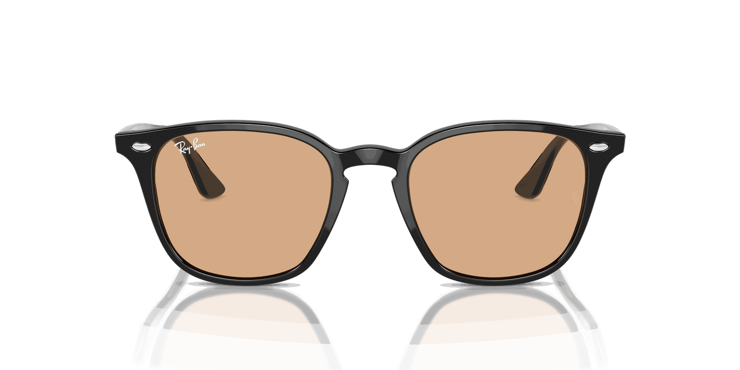 [Brown Lenses, Polished Black Frame]
