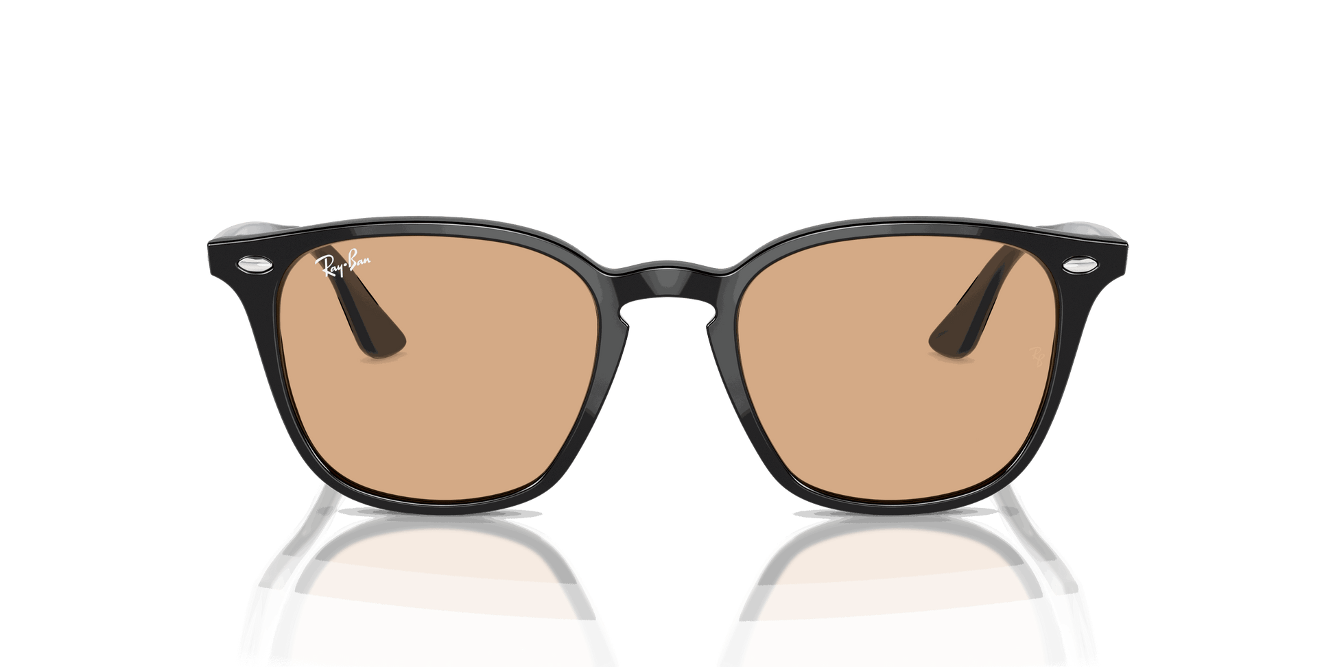 [Brown Lenses, Polished Black Frame]