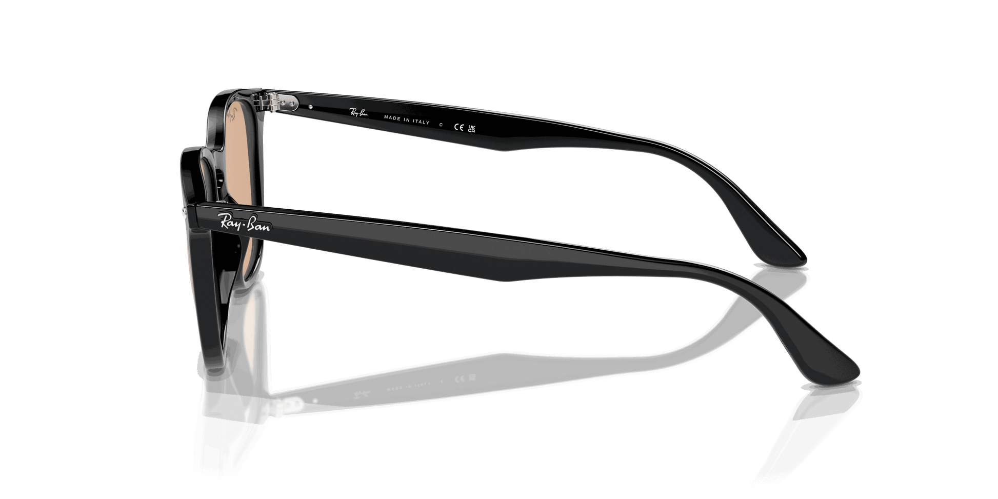 [Brown Lenses, Polished Black Frame]