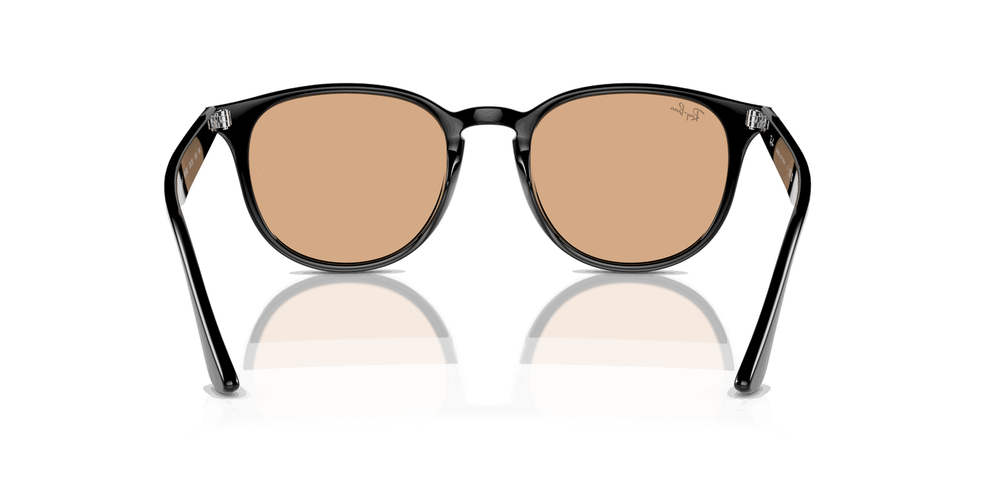 [Brown Lenses, Polished Black Frame]