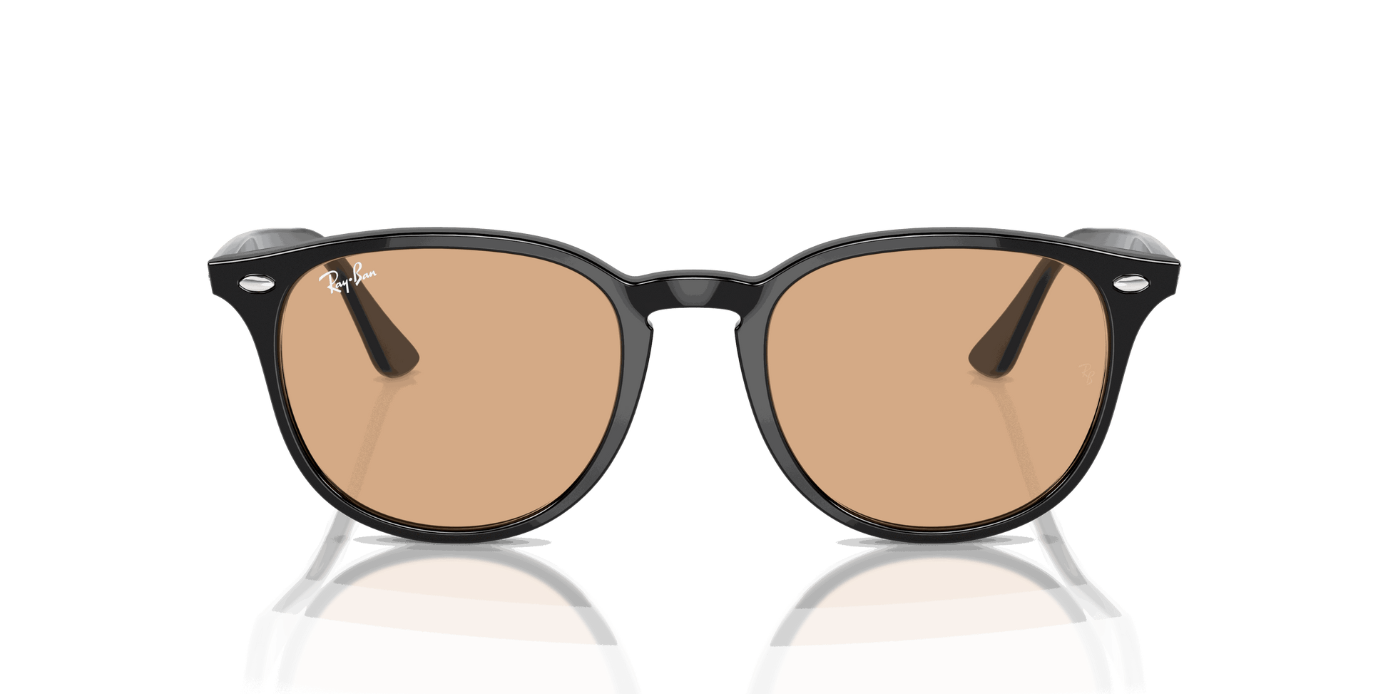 [Brown Lenses, Polished Black Frame]