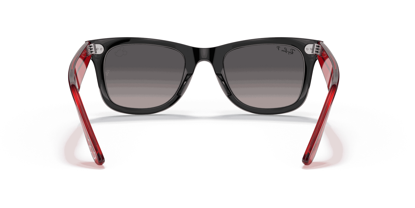 [Grey Lenses, Polished Black Frame]