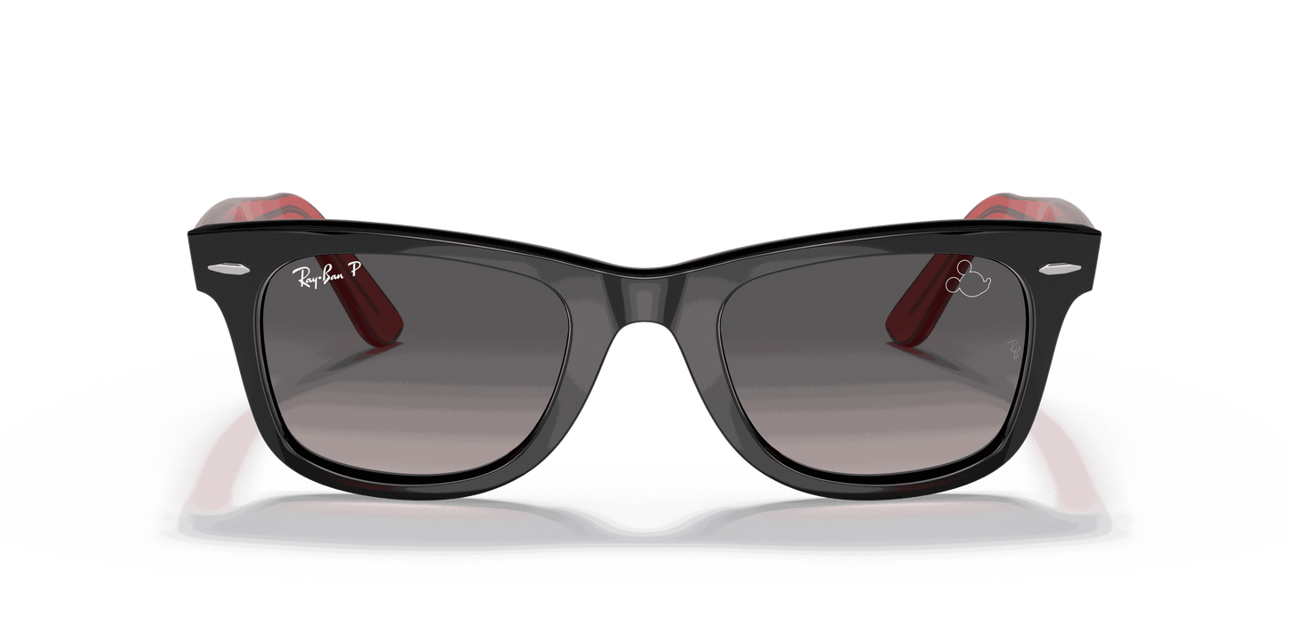[Grey Lenses, Polished Black Frame]