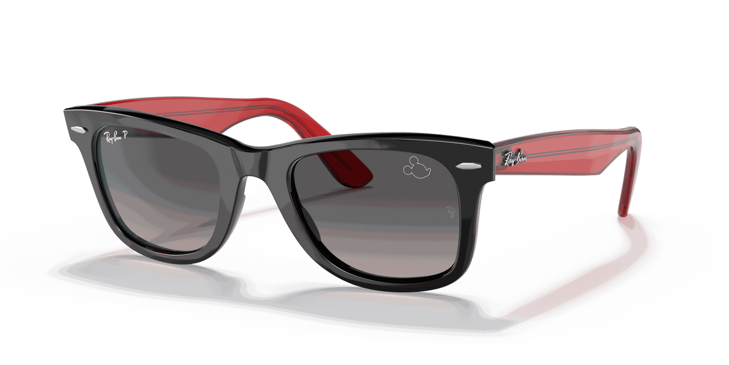 [Grey Lenses, Polished Black Frame]