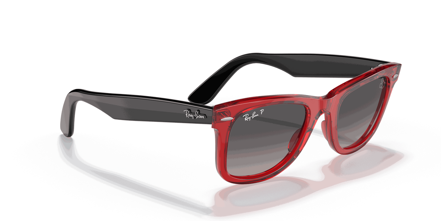 [Grey Lenses, Polished Transparent Red Frame]