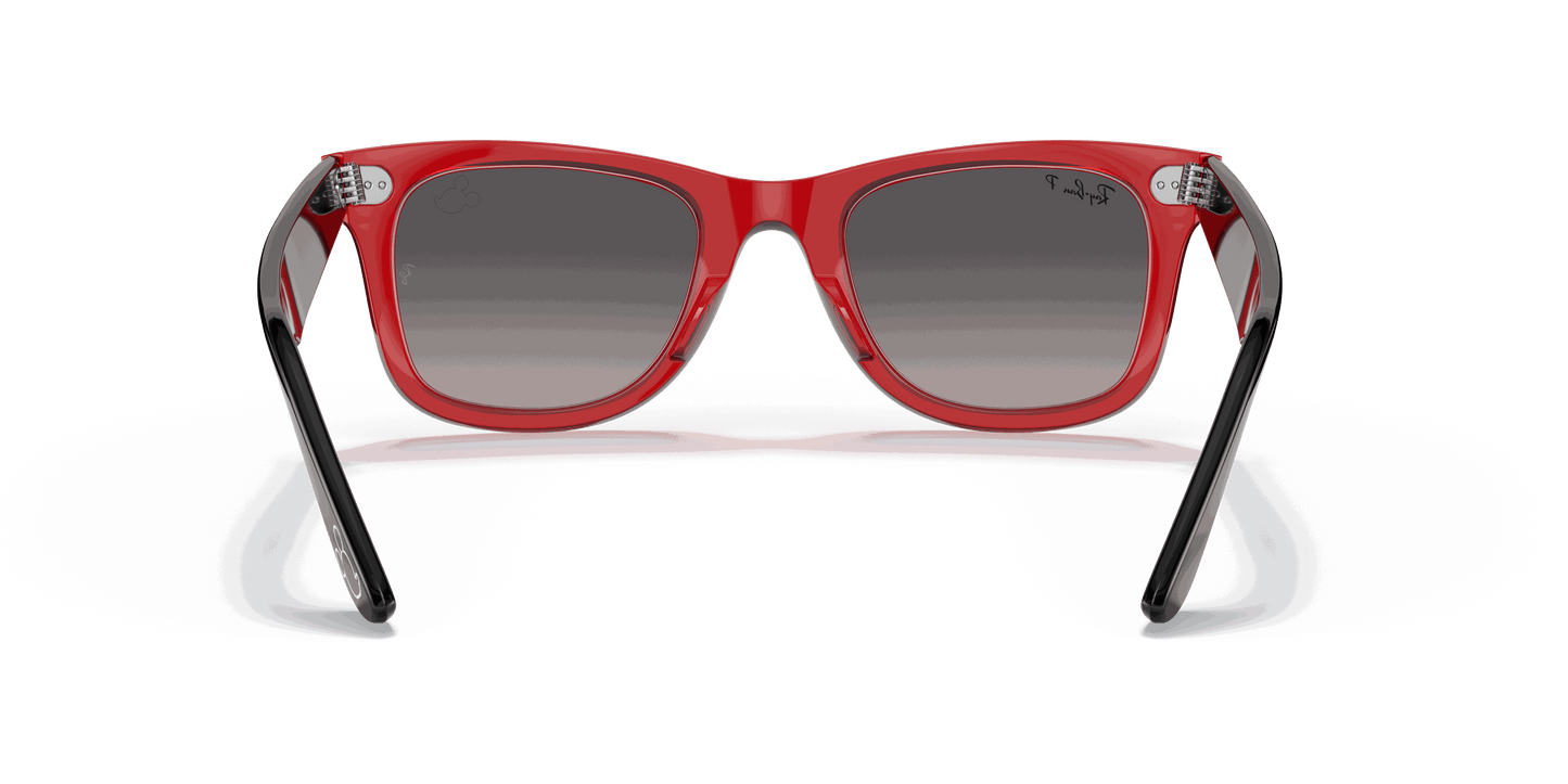[Grey Lenses, Polished Transparent Red Frame]