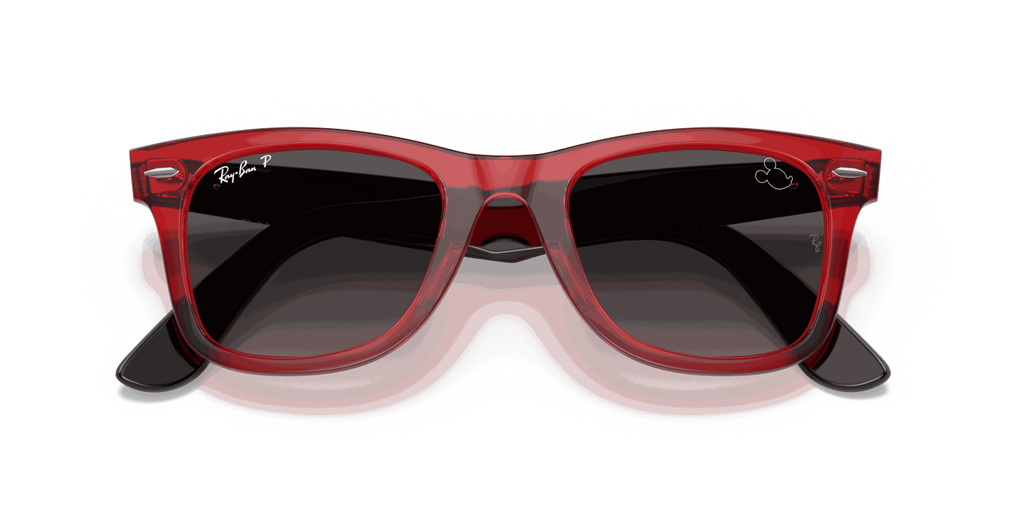 [Grey Lenses, Polished Transparent Red Frame]