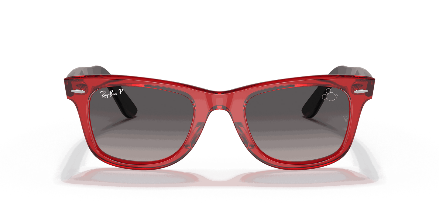 [Grey Lenses, Polished Transparent Red Frame]
