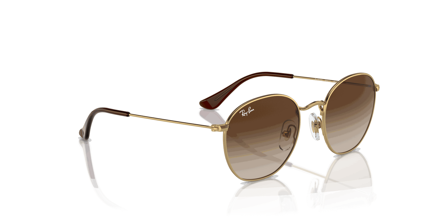 [Brown Lenses, Polished Arista Gold Frame]