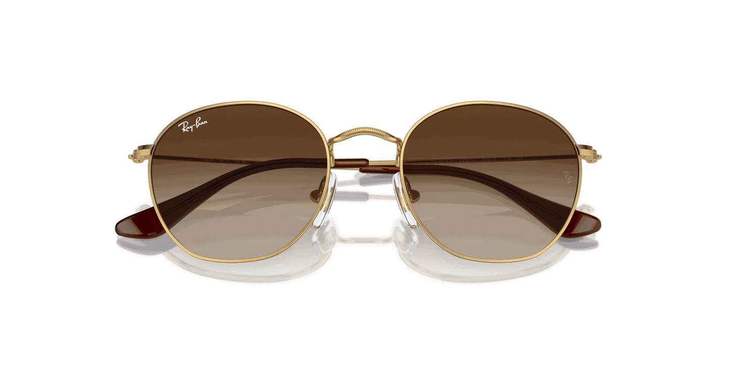 [Brown Lenses, Polished Arista Gold Frame]