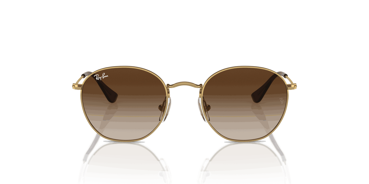 [Brown Lenses, Polished Arista Gold Frame]