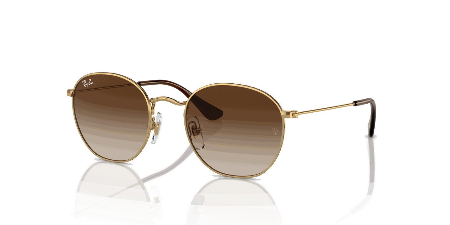 [Brown Lenses, Polished Arista Gold Frame]