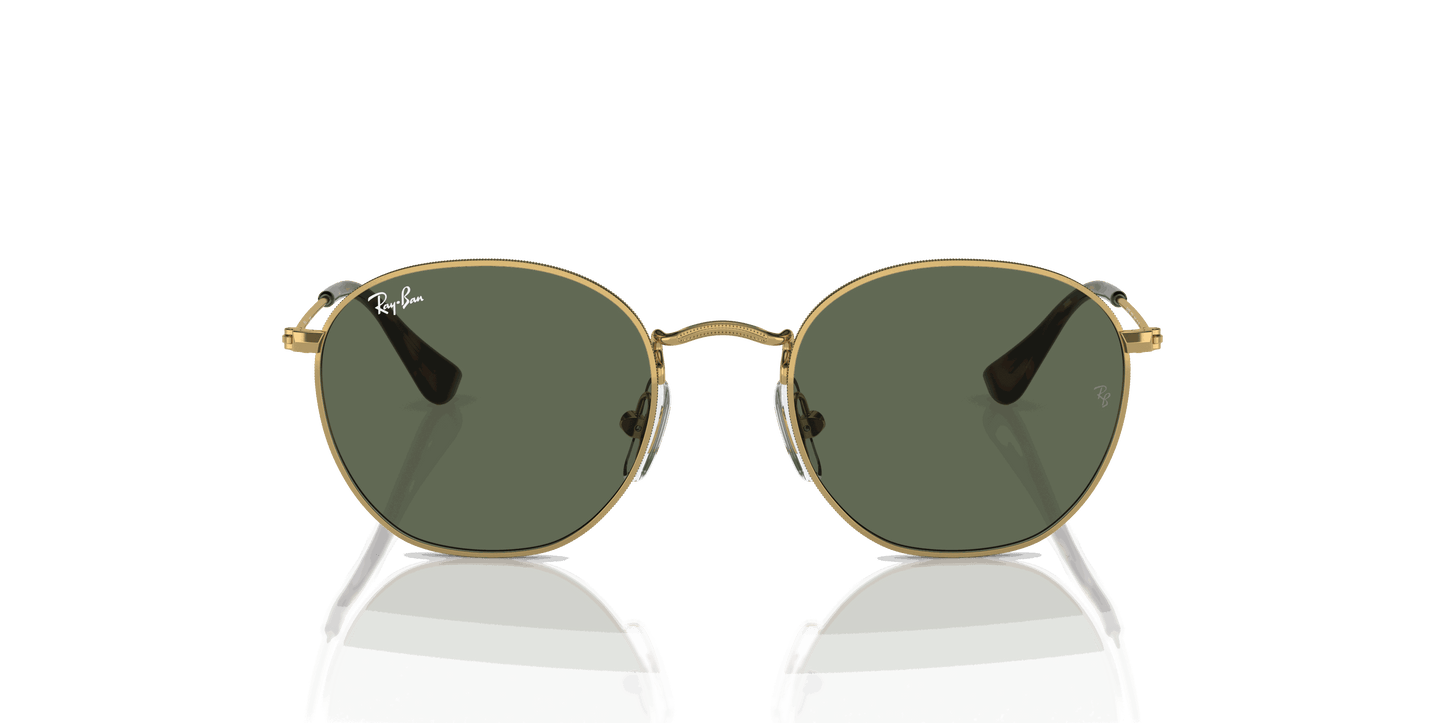 [Dark Green Lenses, Polished Arista Gold Frame]