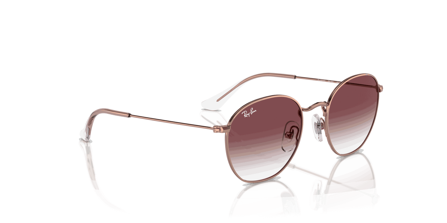 [Violet Lenses, Polished Rose Gold Frame]