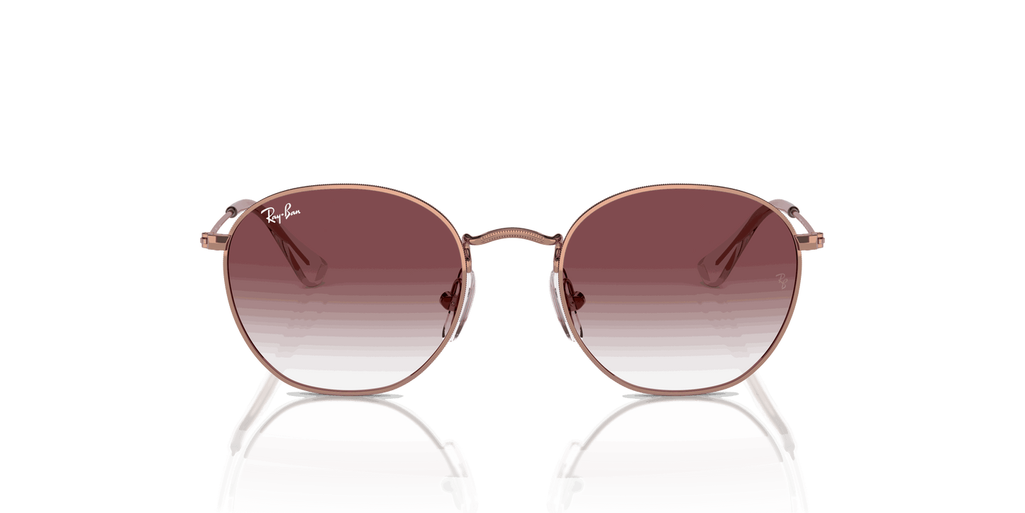 [Violet Lenses, Polished Rose Gold Frame]